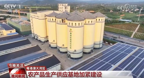 假期堅守一線勇?lián)?dāng) 推進重大工程項目建設(shè)按下 加速鍵