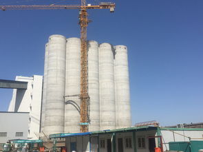 一公司與京糧集團7年合作締造四項精品工程